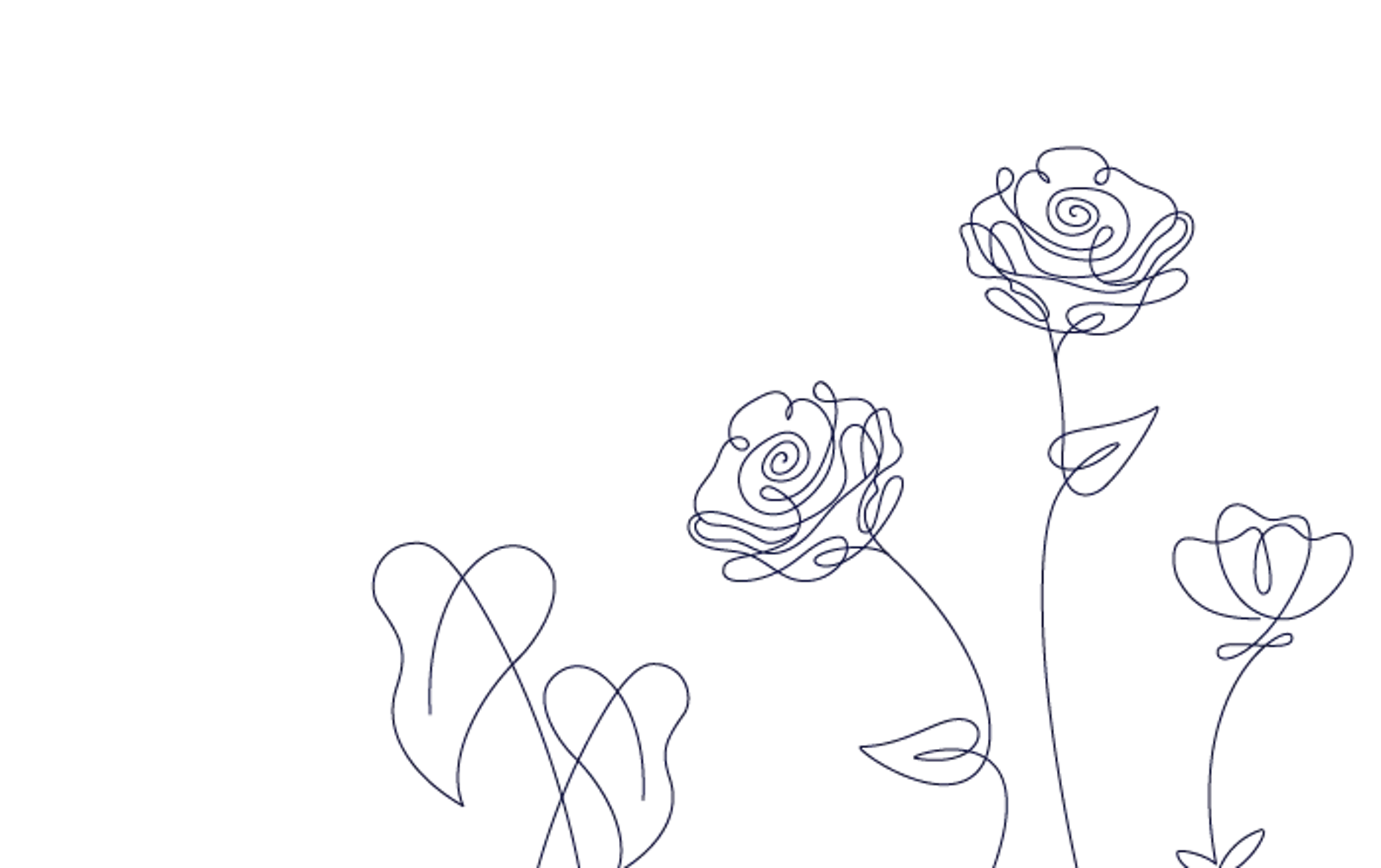 drawing of roses