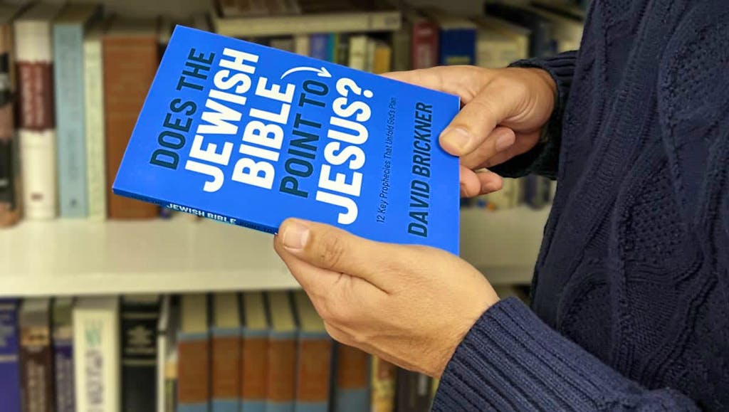 Person holding book