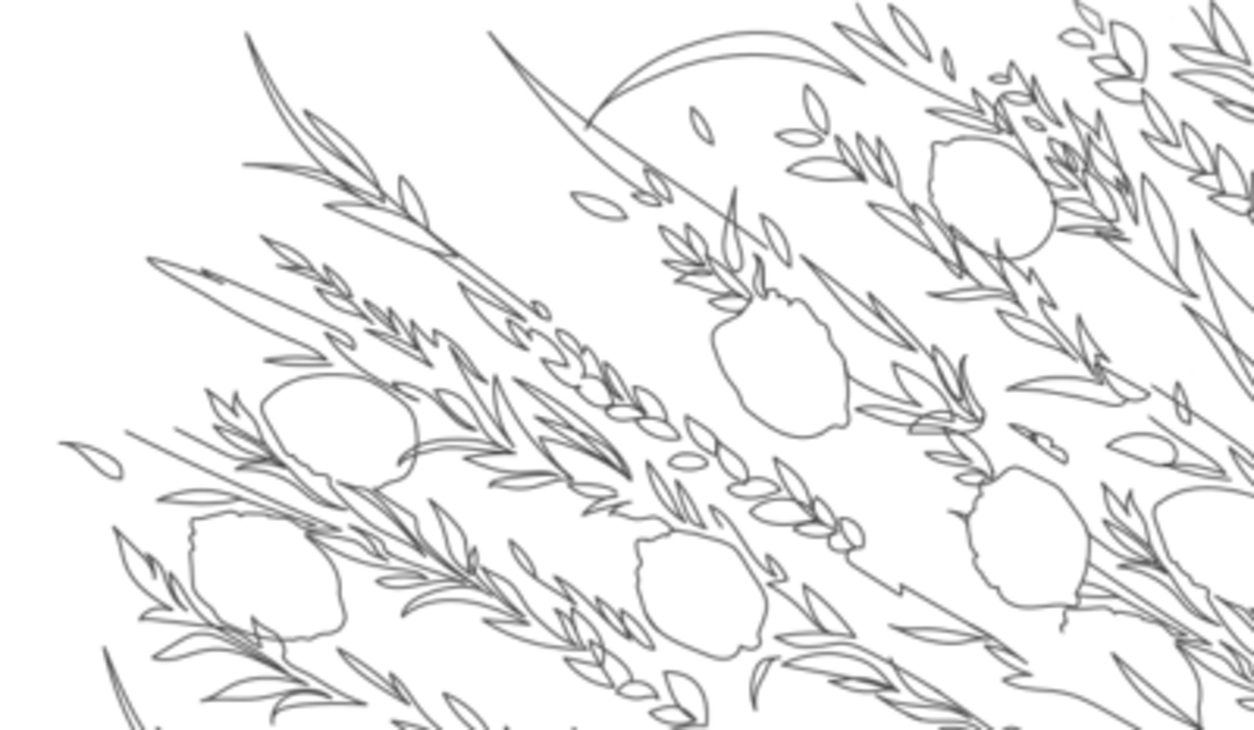 Drawing sukkot lulav and etrog