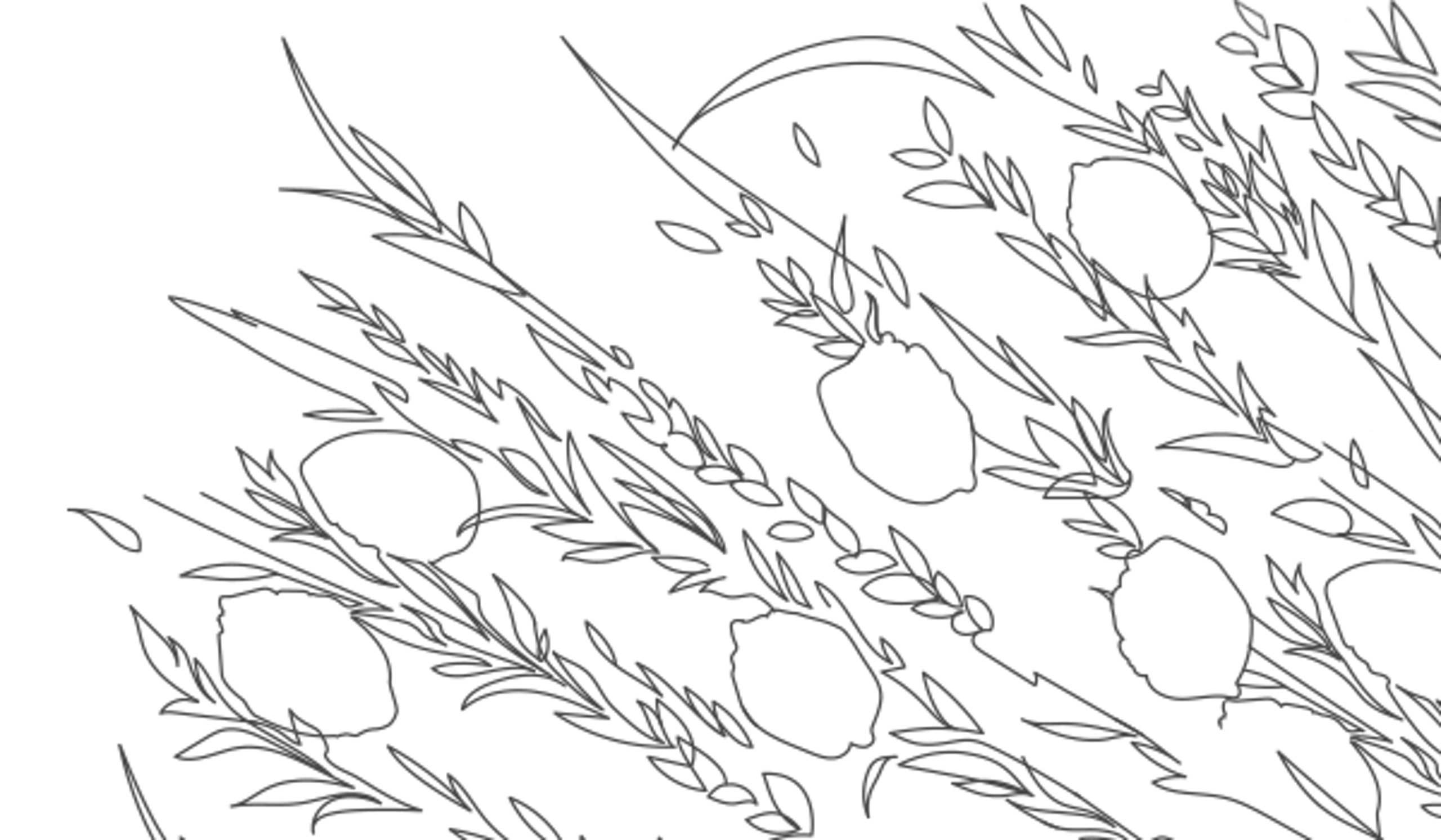 Drawing sukkot lulav and etrog