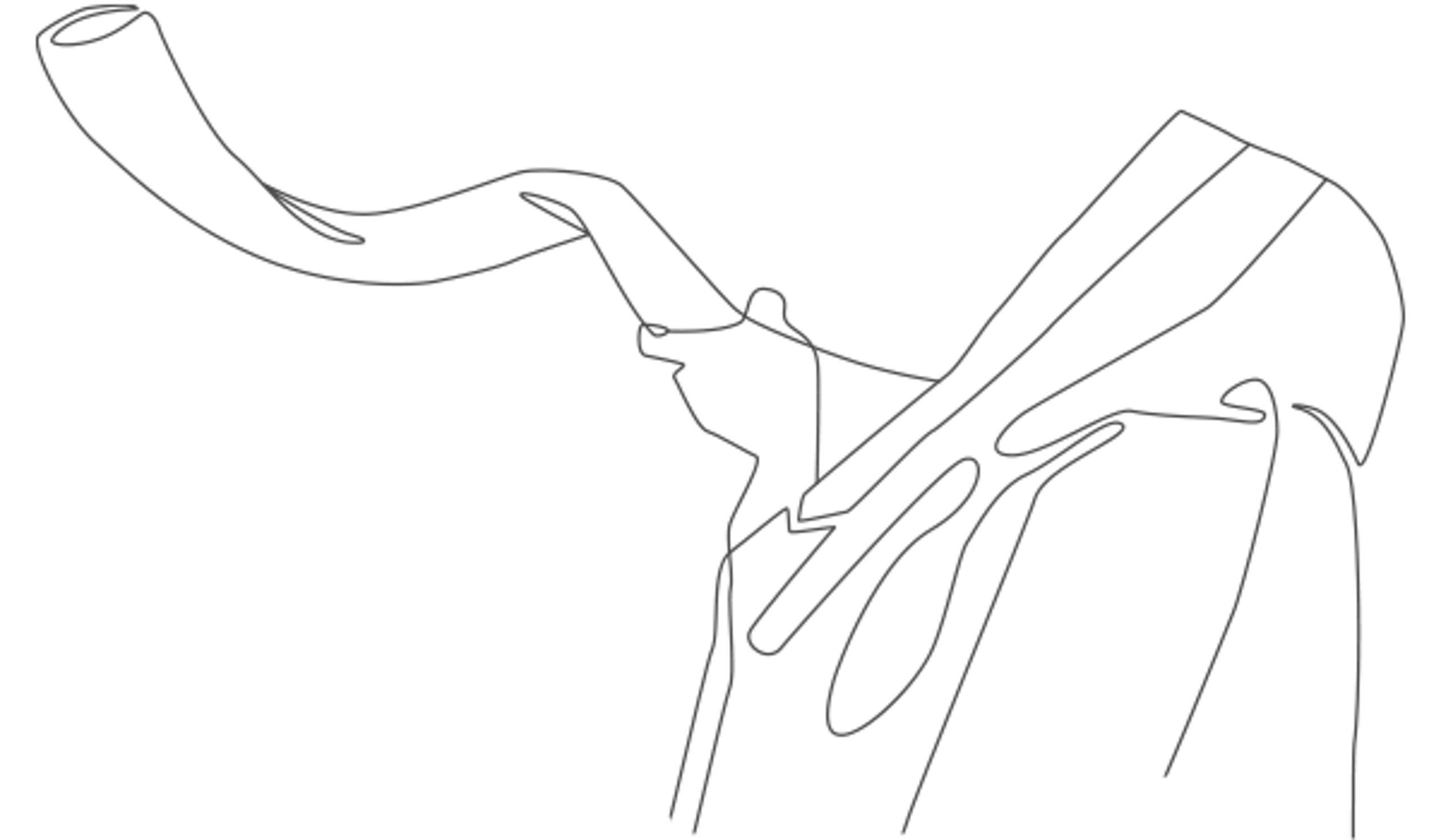 drawing of a shofar